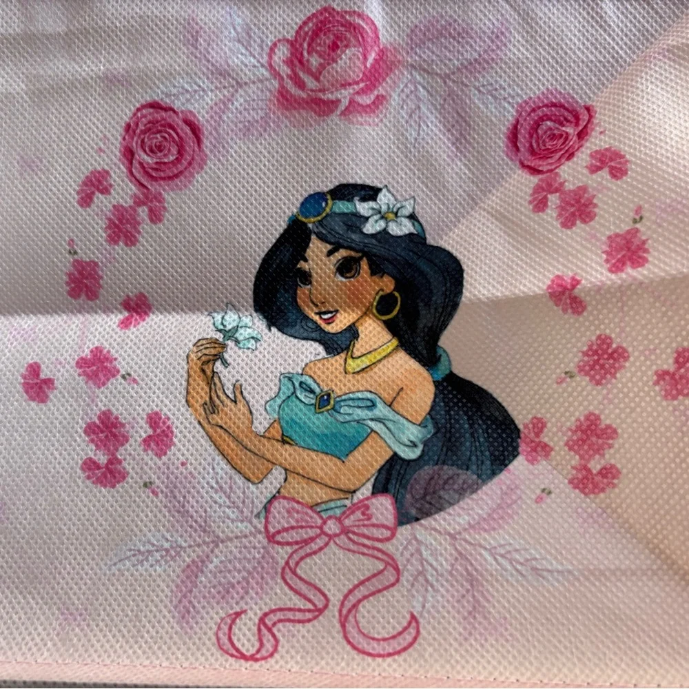 Disney Princess 6-Shelf Hanging Closet Organizer